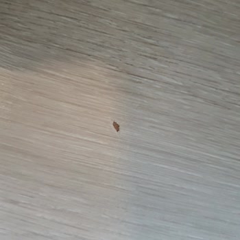 Media Markt Malıma Zarar Vermiştir