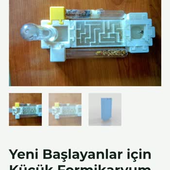 Karınca Formikaryum Hatalı Görsel