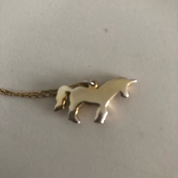 Astrolog Elvan Unicorn Kolye Kalitesiz