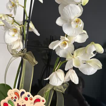 Çiçek Sepeti Sağlıksız Ürü