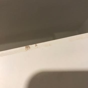 Evdiz Pişmanlıktır Dikkat Arkadaşlar