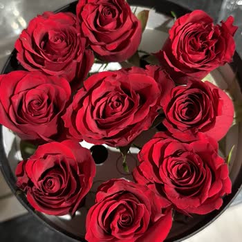 Lilyana Flowers Gelen Çiçek Siparişi