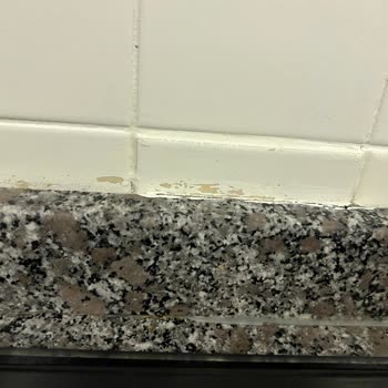 Bianca Boya Stella Boya Atma Problemi