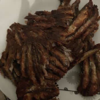 Orfoz Balıkçılık (Pendik) Yanık Balık Yolladılar