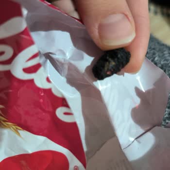 Kellogg's Kırmızı Meyveli Tahıl Gevreği