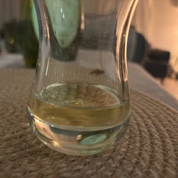 Yudum Riviera Zeytinyağı Deneyimim