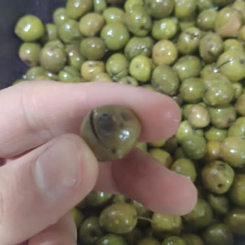 Hatay Sofra Halhalı Zeytin Büyük Problem