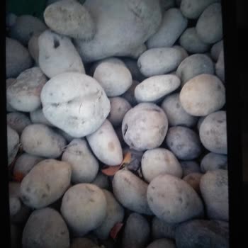 Şok Market İndirimli Çürük Patates
