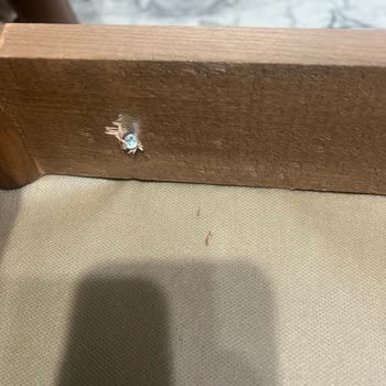 Evyaşam Pişmanlık Kötü Ve Pahalı Ürün