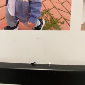 Sosyopix Ya İademi Yap Ya Çerçeveyi Gönder