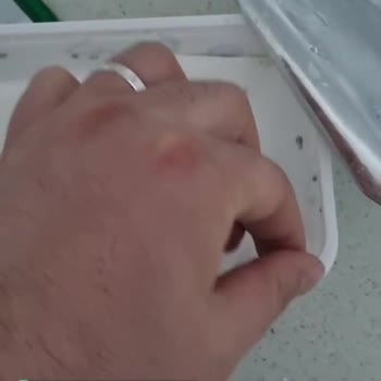 Burak Gross Süzme Peynir Küflü