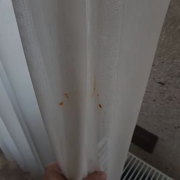 Öykü Evi Cave Hotel Konaklama Deneyimleriniz İçin Tarafsız Bir Değerlendirme