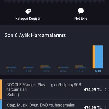 VideoShow İznim Olmadan Para Çekimi