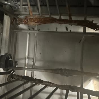 Teka Dw 605s Ankastre Bulaşık Makinesi Paslanma Ve Kırılma Problemi