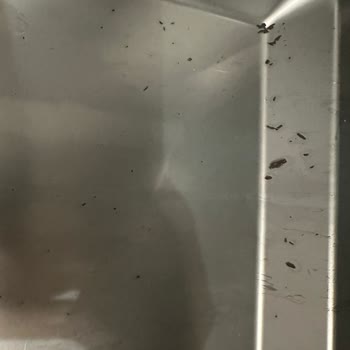 Teka Dw 605s Ankastre Bulaşık Makinesi Paslanma Ve Kırılma Problemi