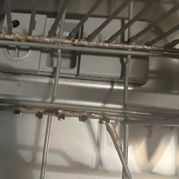Teka Dw 605s Ankastre Bulaşık Makinesi Paslanma Ve Kırılma Problemi