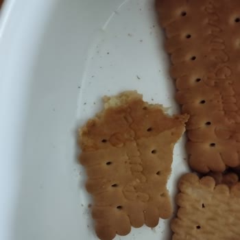 BİM Bisküvim'den Sac Cıktı