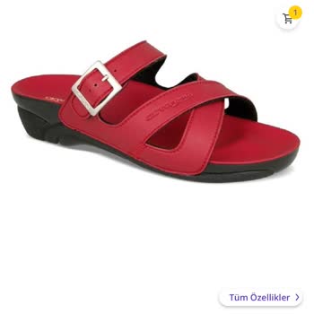 6 Aydır Yenisini Beklediğim Ceyo Terlik Sorunu