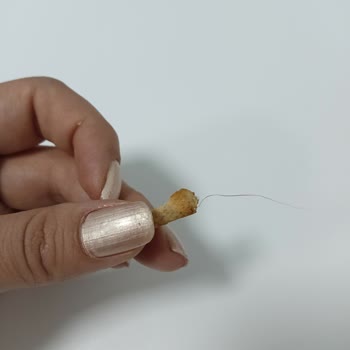 Eti Gıda Eti Krakerin İçinden Kıl Çıktı