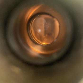 İBB - İstanbul Büyükşehir Belediyesi Binada Ve Mahallede Lağım Faresi Var