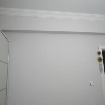 Polisan Romans Karteladaki Renkten Çok Farklı