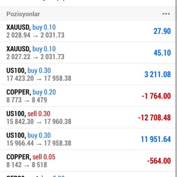 Wafra Investment Hesap Yönetimi Ve İşlem Kısıtlamalarıyla İlgili Yaşadığım Sorunlar