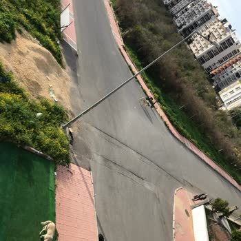 Mersin Büyükşehir Belediyesi Mersin Mezitli Saldıran Köpekler