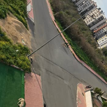 Mersin Büyükşehir Belediyesi Mersin Mezitli Saldıran Köpekler