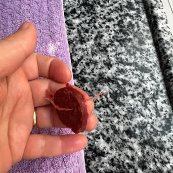 Coşkun Sucuk İçinden Plastik Poşet