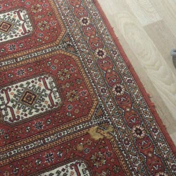 Petyasam.com Güven Önemlidir Hak Yemek Ayrı Önemlidir