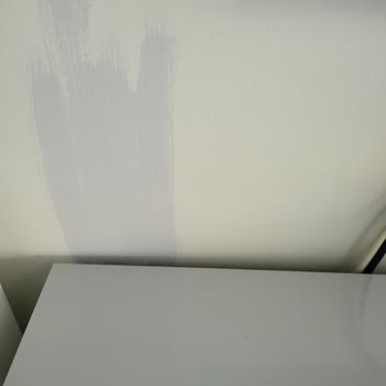 Marshall, Gri İste Mor, Lila, Mavi Bul