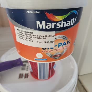 Marshall, Gri İste Mor, Lila, Mavi Bul