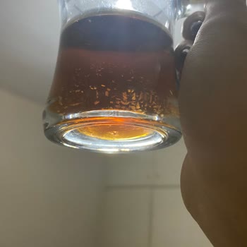 Lipton ice Tea Şişede Küflü Parçalar Var