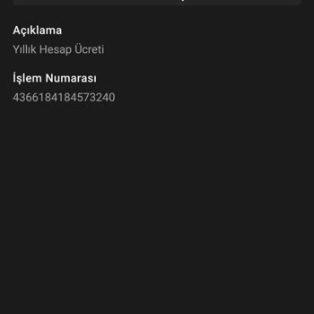 Payoneer Yıllık Ücret Kesintisi İade