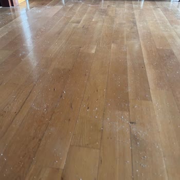 Yüzde Yüz Tozlu Kum - Doğalsan Bastet Kedi Kumu