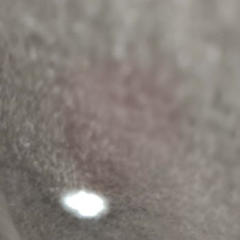 Denizli Concept Denizli Konsept İkinci Kalite Outlet Ürün Diye Delik Battaniye Sattı