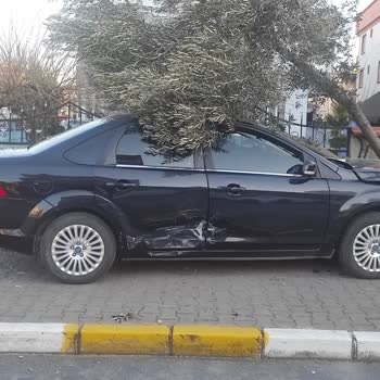 Ford Focus Açılmayan Hava Yastığı