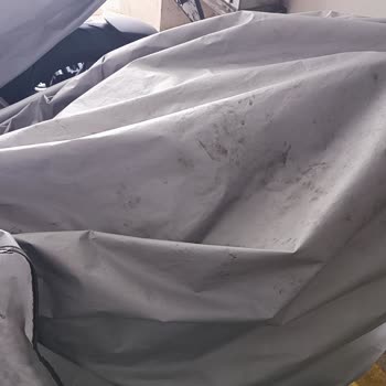 KİPTAŞ Başıboş Kedi Ve Köpeklerin Verdiği Maddi Manevi Zararlar
