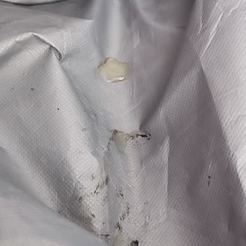 KİPTAŞ Başıboş Kedi Ve Köpeklerin Verdiği Maddi Manevi Zararlar