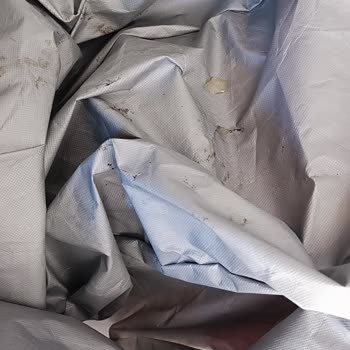 KİPTAŞ Başıboş Kedi Ve Köpeklerin Verdiği Maddi Manevi Zararlar