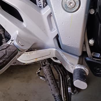 KİPTAŞ Başıboş Kedi Ve Köpeklerin Verdiği Maddi Manevi Zararlar