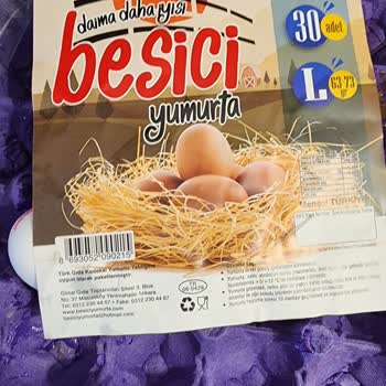 Besici Yumurta Yumurtalar Hem Kirik Çatlak Coğu Da Yapışmış Halde