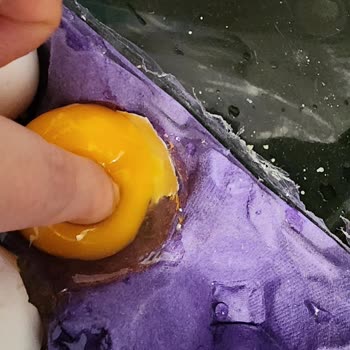 Besici Yumurta Yumurtalar Hem Kirik Çatlak Coğu Da Yapışmış Halde