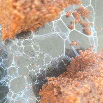 Divan Pastaneleri Divan Pastanesinden Kek Almanızı Önermiyorum!