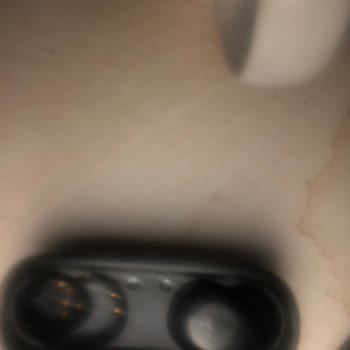 JBL Wawe Buds Kulaklık