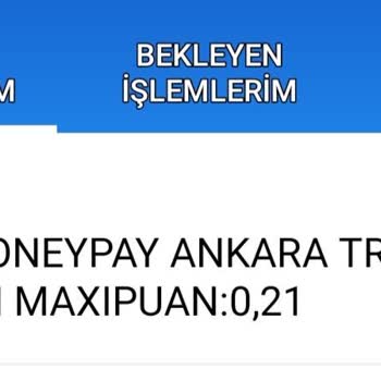 MoneyPay Sahte Sayfa Mağduriyeti Ve İade Talebi