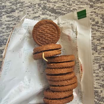 Torku Tam Kakaolu Bisküvi