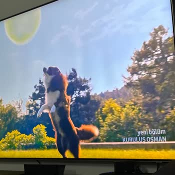 Samsung TV 65qn85c Panel Dikey Gölgelenme Sorunu!