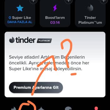 Tinder Platinum Keşfet Sorunu