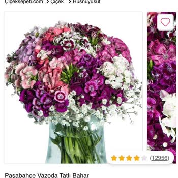 Çiçek Sepeti'nin Görseldekinden Alakasız Ürün Göndermesi!